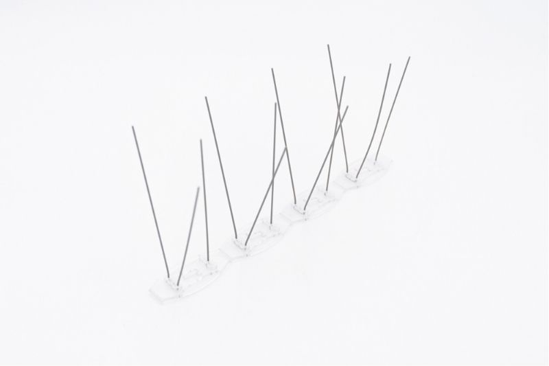 Pics anti-moineaux Pics anti-moineaux